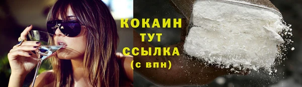 прущий лед Новозыбков