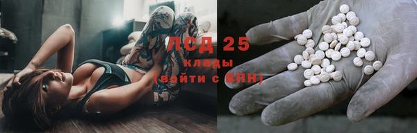 прущий лед Новозыбков