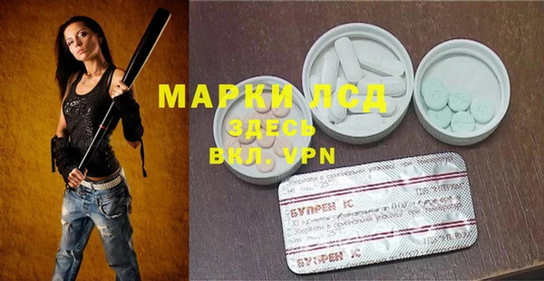 крисы Новокубанск
