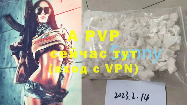 амф Новодвинск