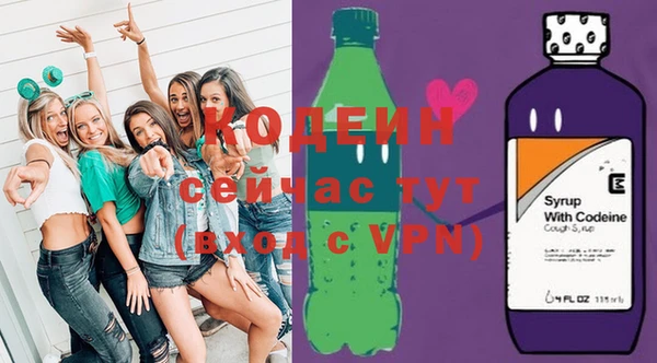 прущий лед Новозыбков